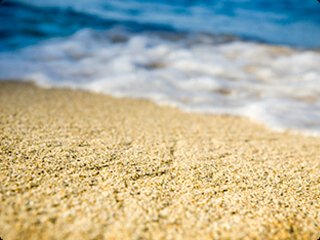 The Clearing and Forwarding Agent banner