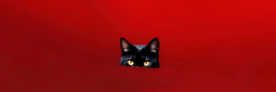 نور الـ حكمة banner