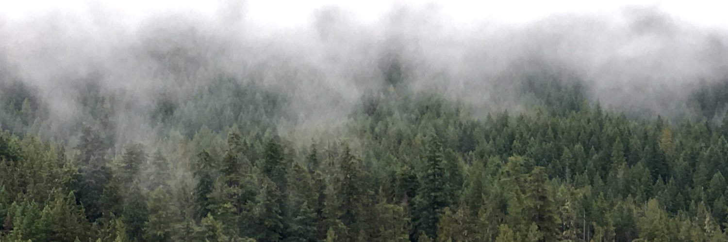 kyla_may_'s profile banner image