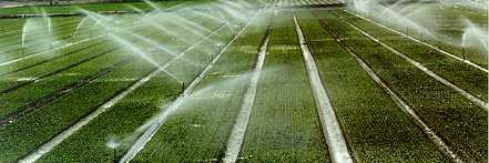 Carlos R. Orozco banner