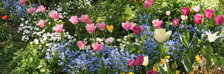 Sara Laughter banner