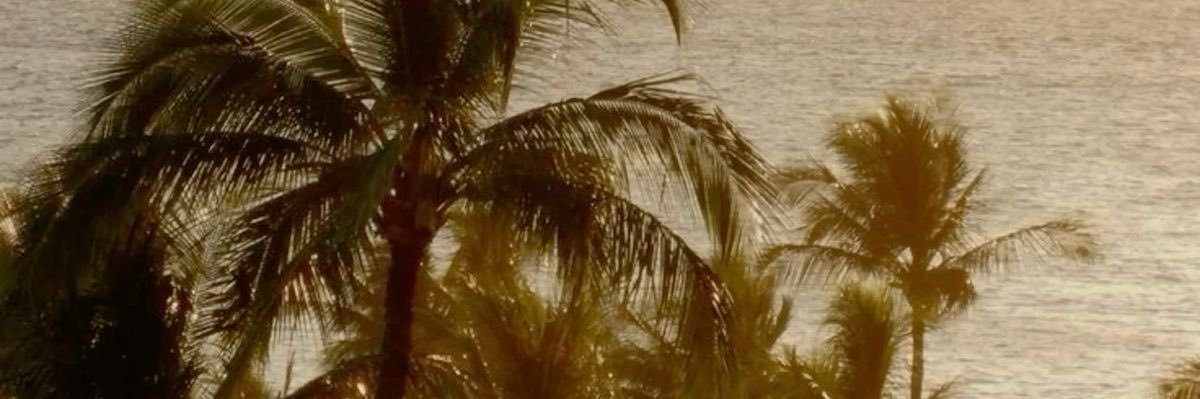 stemiralla's profile banner image