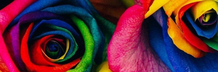 Chiquita pero picosa banner