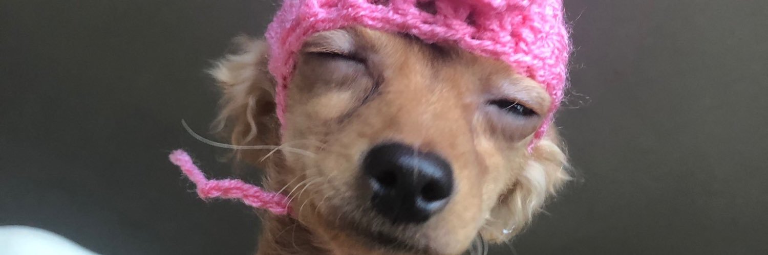maceykramer's profile banner image
