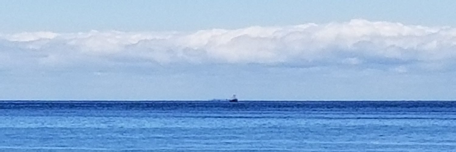 TwentyTonTurtle banner