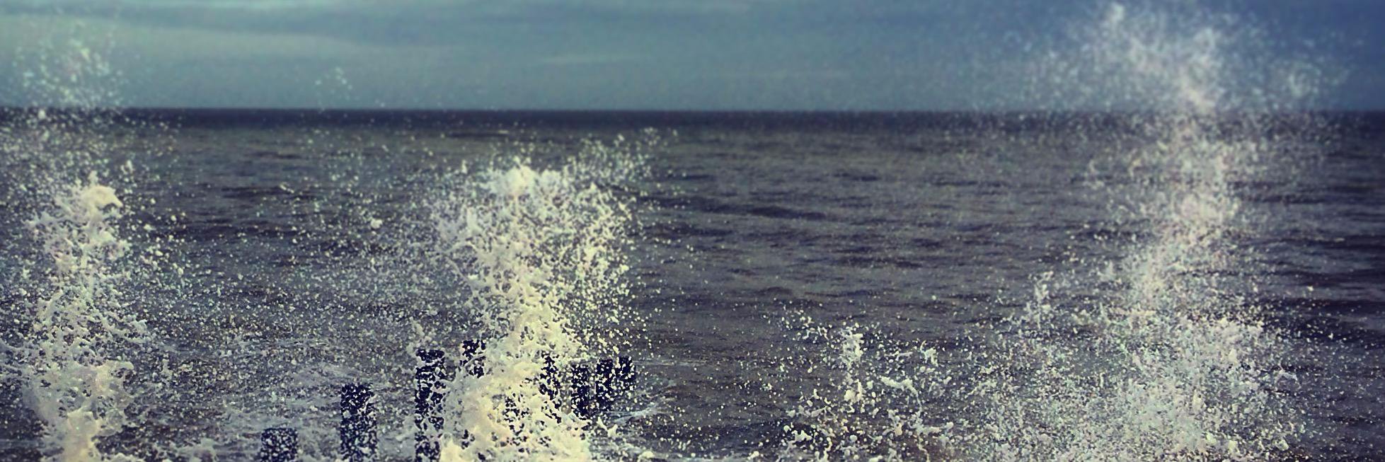 pholk's profile banner image
