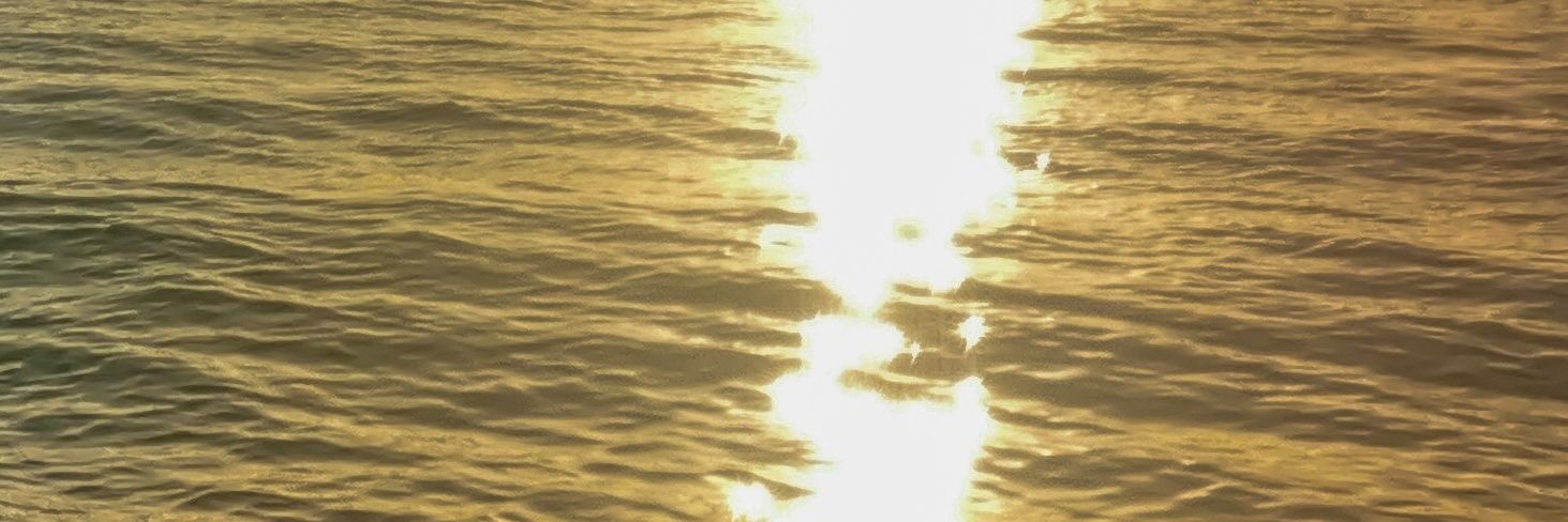 tinmores_'s profile banner image