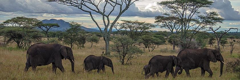 MMilusha's profile banner image