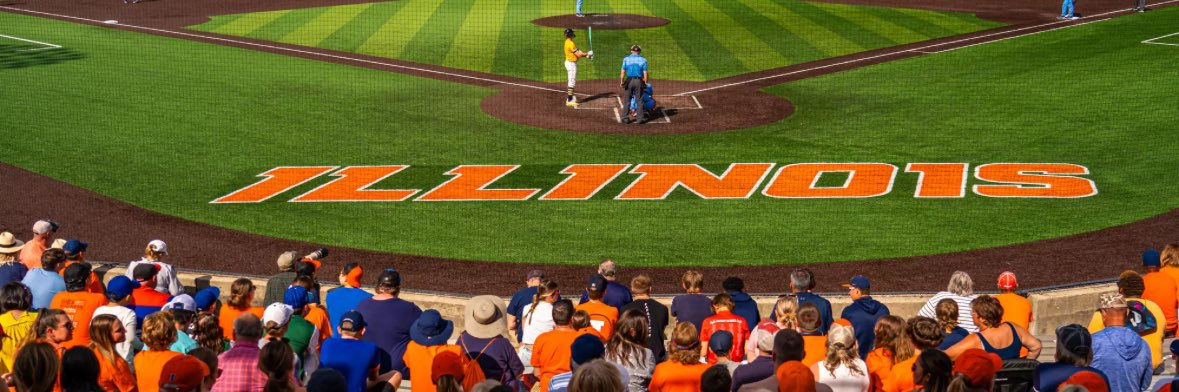 Dillon Napoleon banner