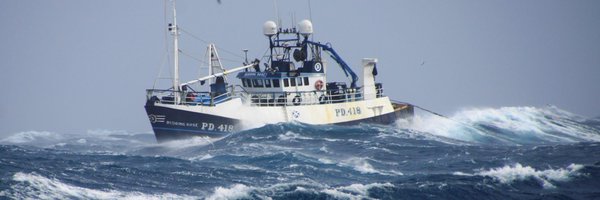 buddingrose418 Profile Banner