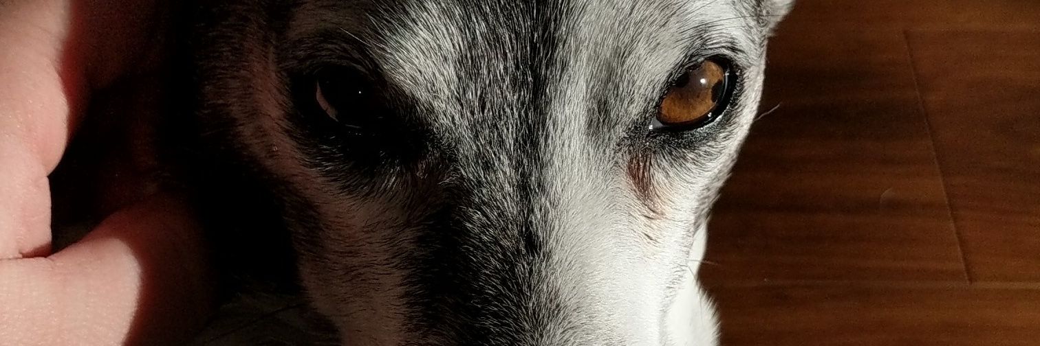 wonpunchmango's profile banner image