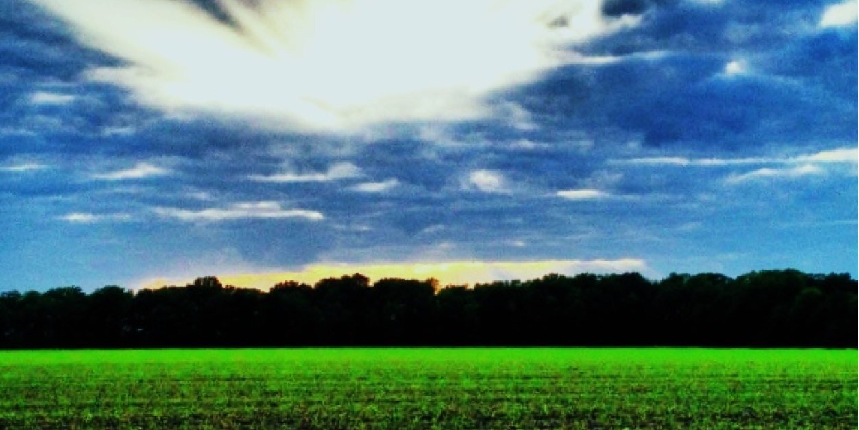 alexmcgaha's profile banner image