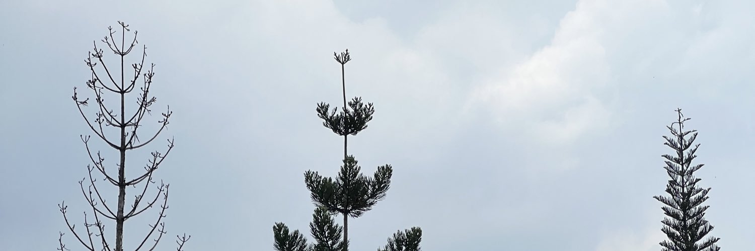 Rifrifa_'s profile banner image