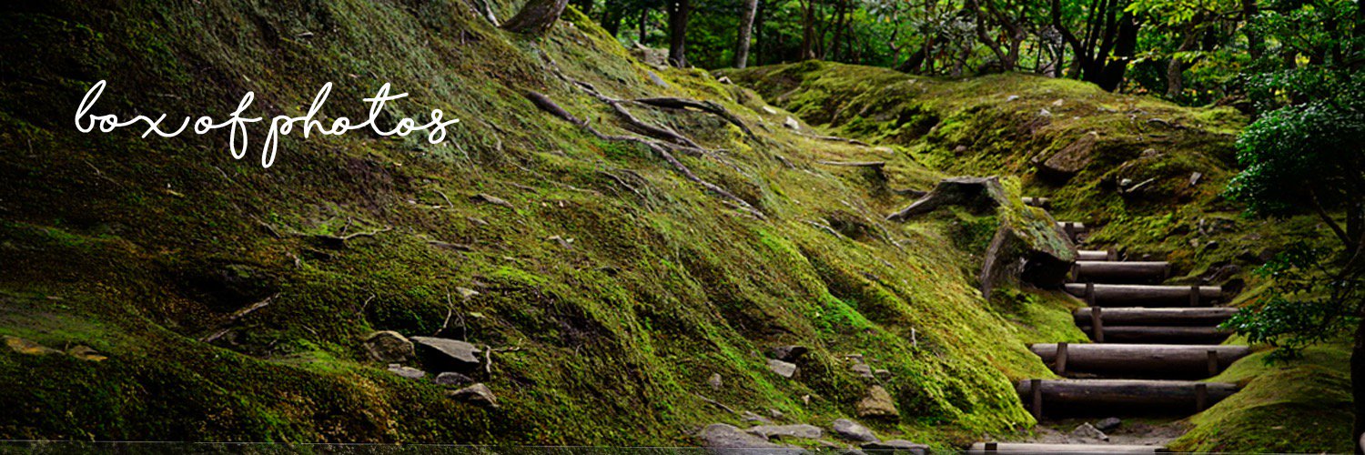 boxofphotos's profile banner image