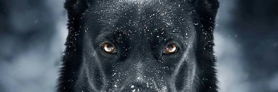 mongeziimethula's profile banner image