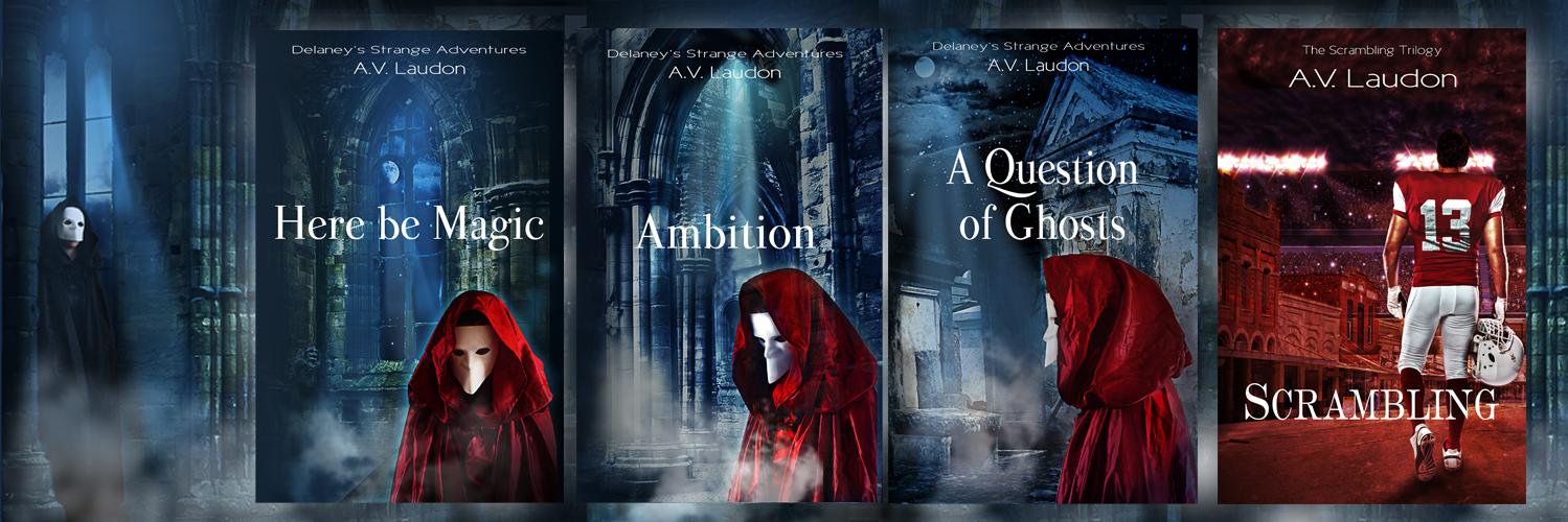 AVLaudon's profile banner image