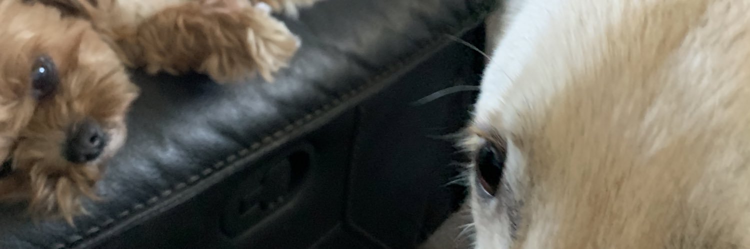 🅰️Lℹ️S🅰️ banner