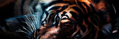 Manikrishnaidu's profile banner image