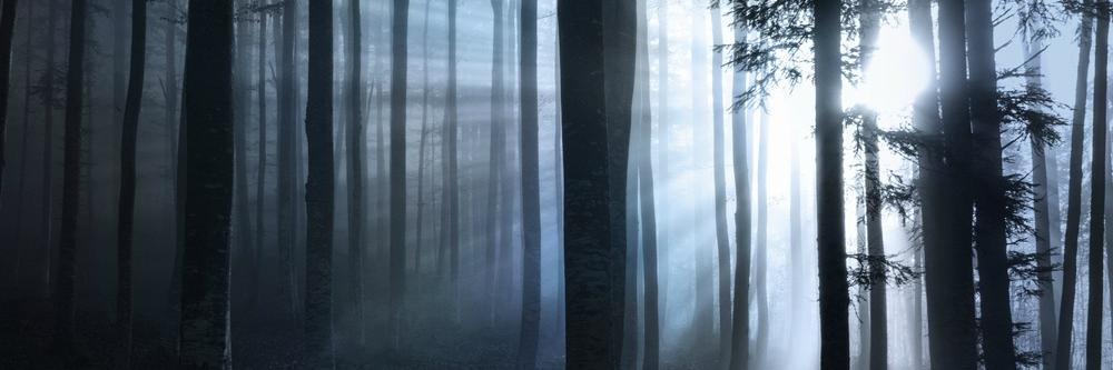 AddToYourBasket's profile banner image