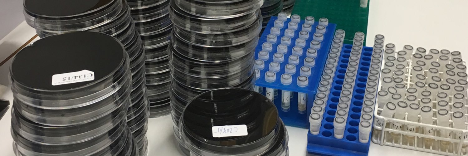 Cecilia Jernberg banner