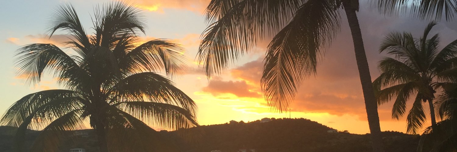 Nessf1t's profile banner image