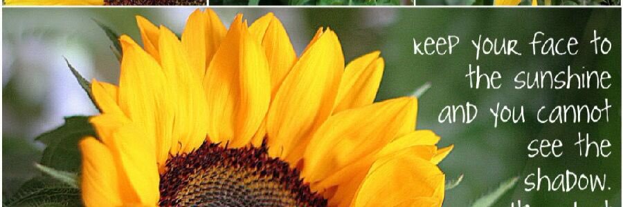 Bnpurdue's profile banner image