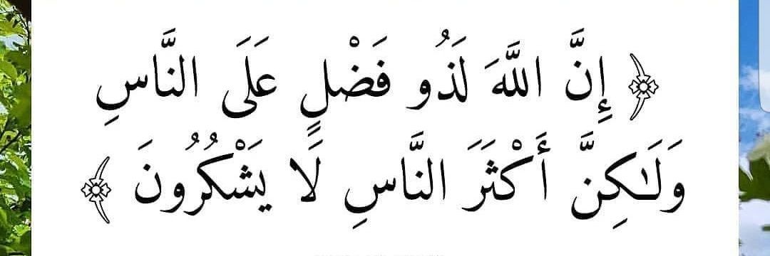 عادل ( ابو بدر) banner