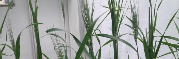 FuncyPhosphoLab Profile Banner