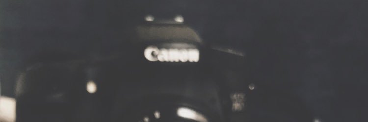 rose_ad99's profile banner image