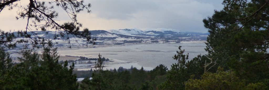 FeargusMurray's profile banner image