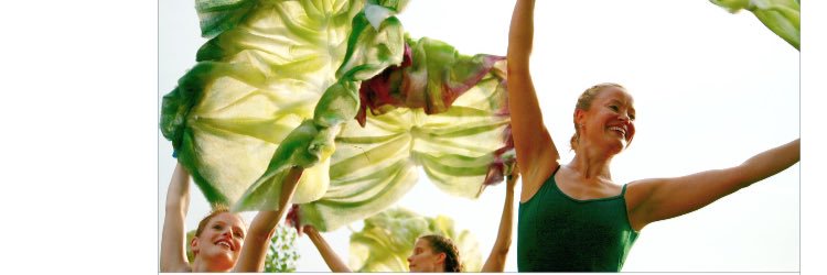 farmtoballet's profile banner image