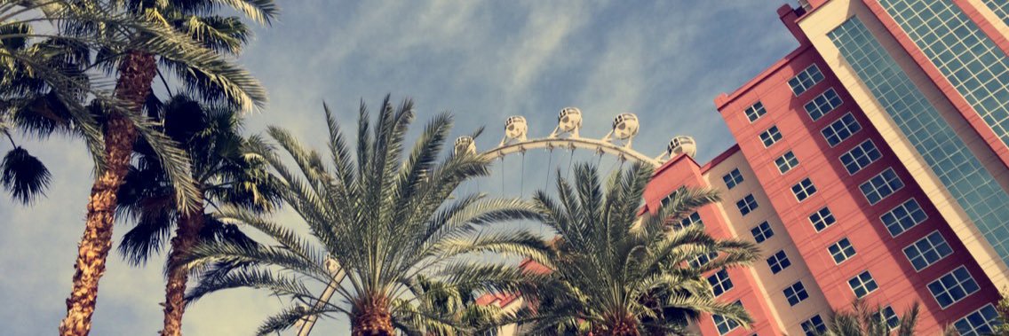 k_paton's profile banner image