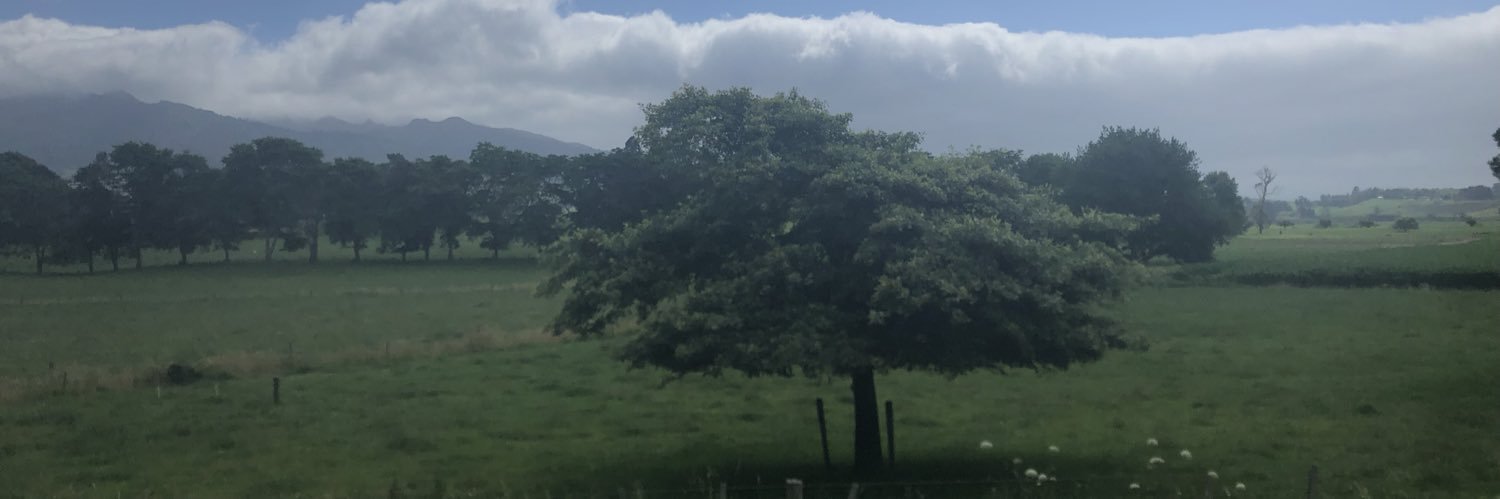 randomjodie's profile banner image