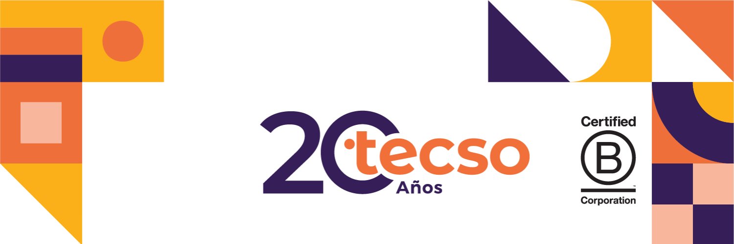 TECSO banner