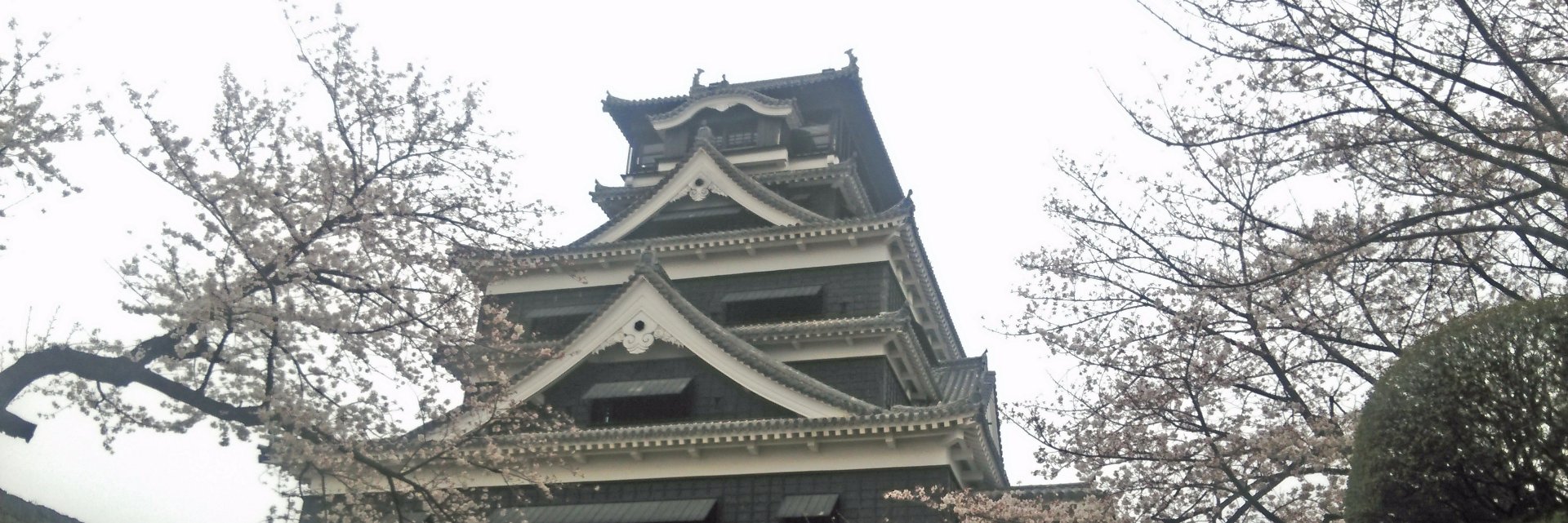 fuji_330's profile banner image