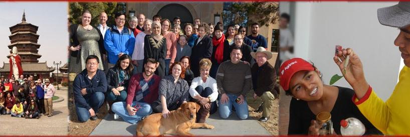 NMSUIBP's profile banner image