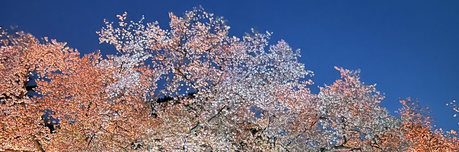 Fyfdpy's profile banner image