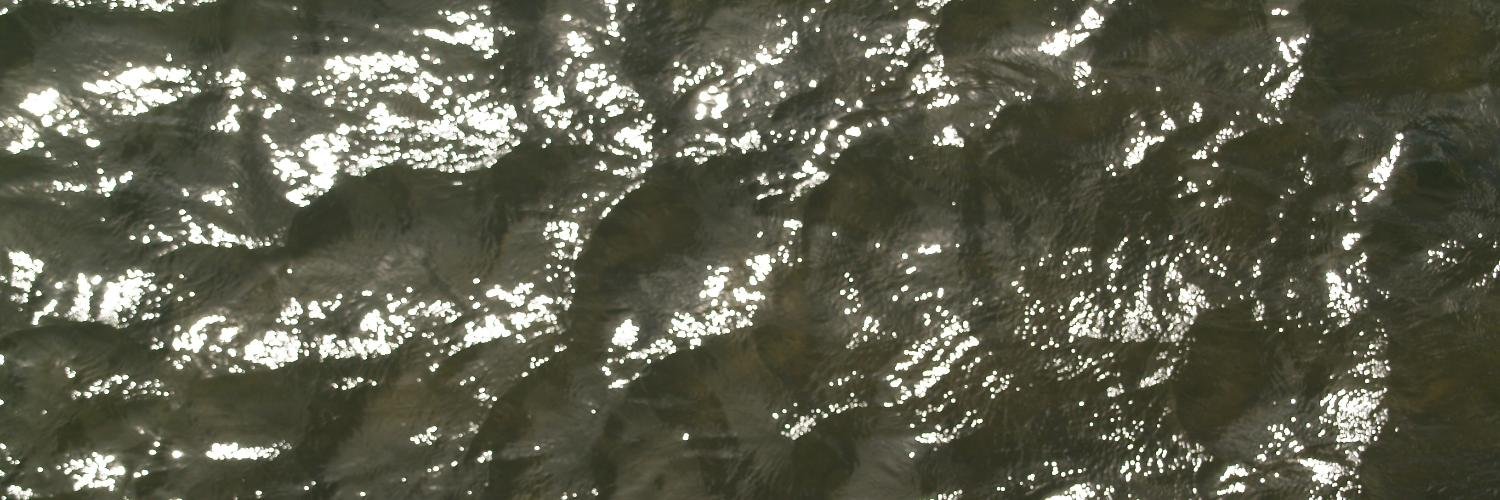 David Bowman banner