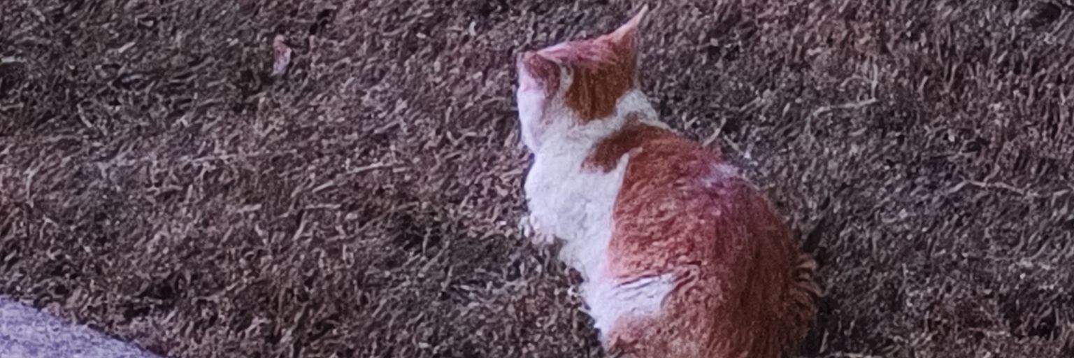 nag1406's profile banner image