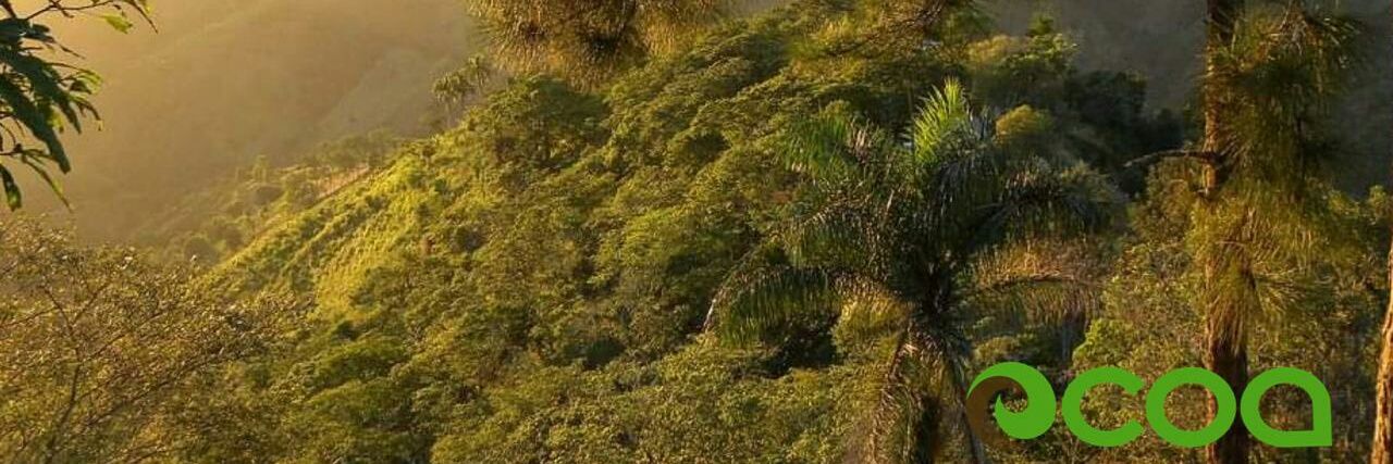 visitocoa's profile banner image