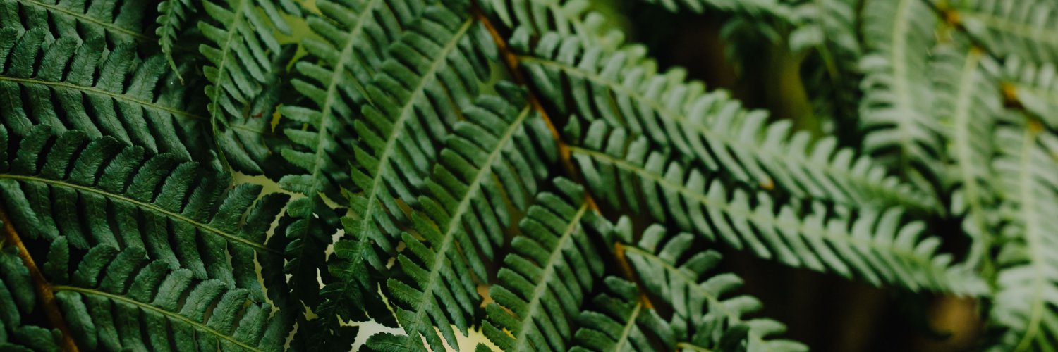 Counselling_Psy's profile banner image