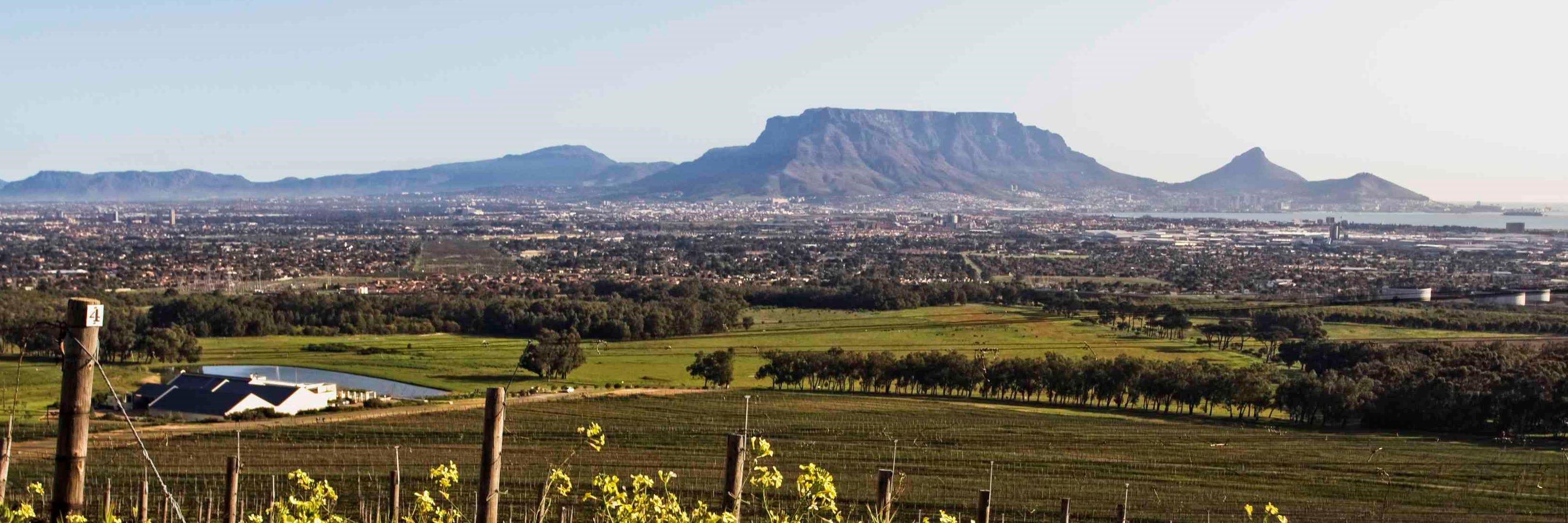 De Villiers Graaff banner