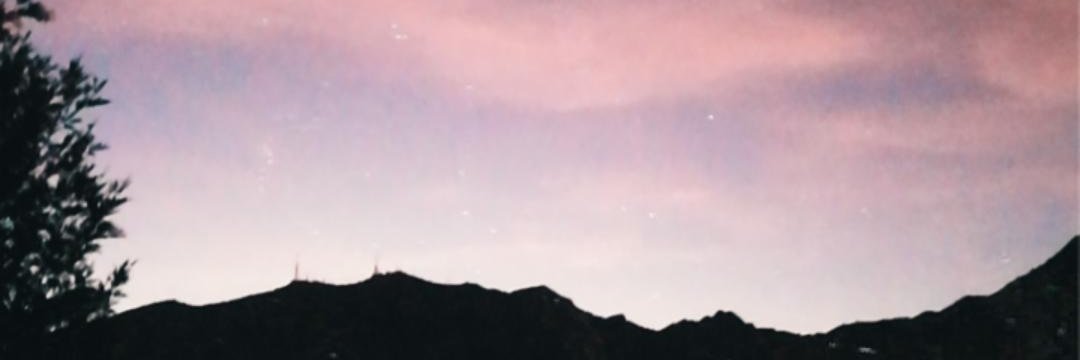 renata_dodu's profile banner image
