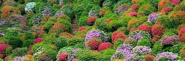 Shilvant_P Profile Banner