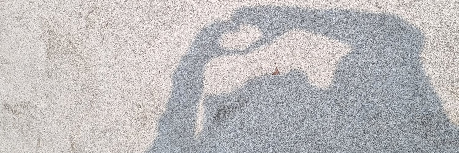 🐌 banner