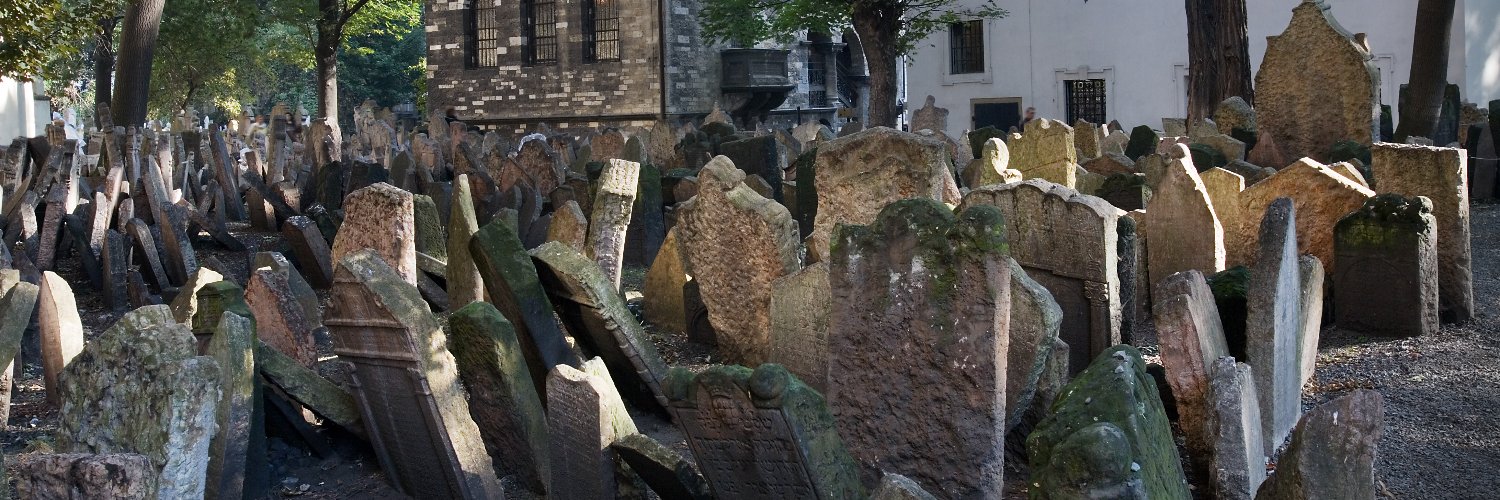 pmontevecchio's profile banner image