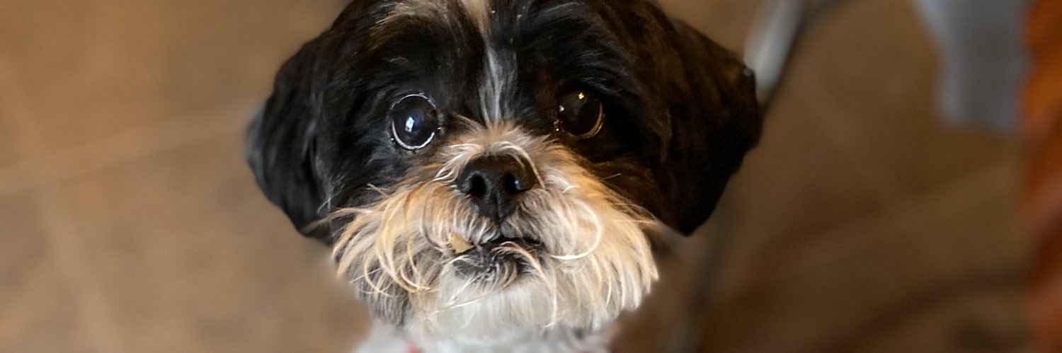 Bianca Vazquez banner