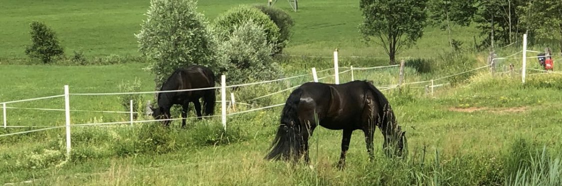 نواف جاسي المطيري banner