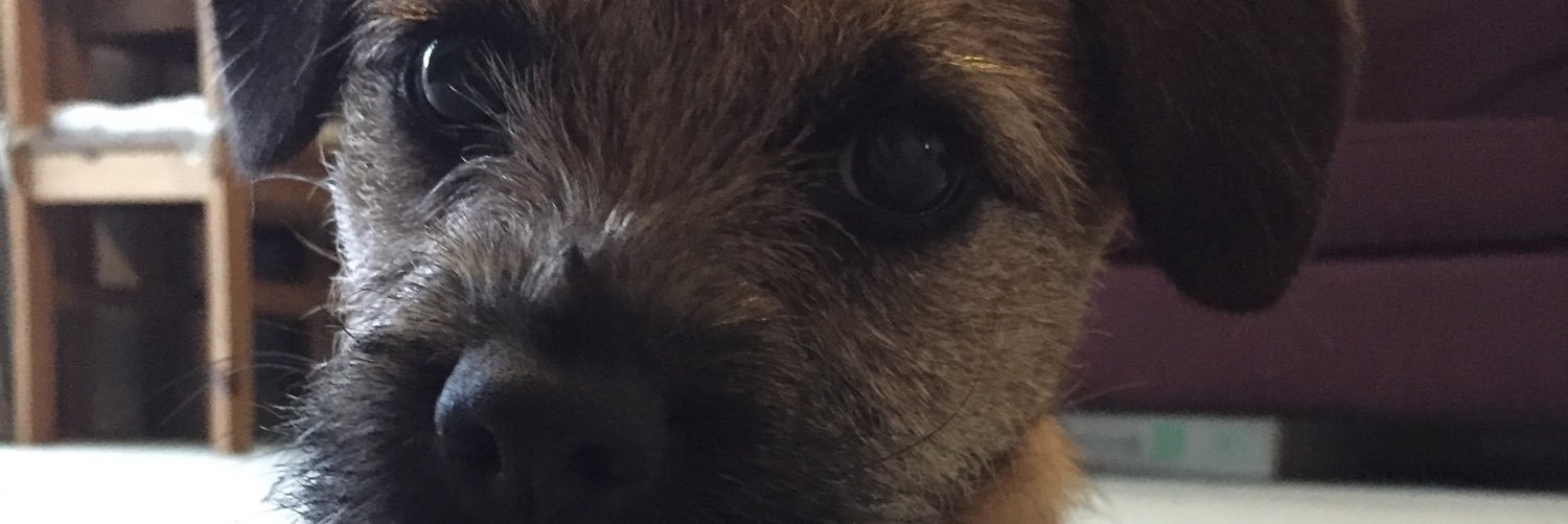faithless2022's profile banner image