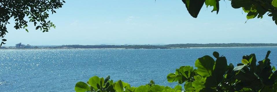 Caue Gastardi banner